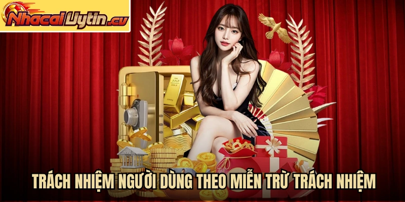 Trách nhiệm người dùng theo chính sách miễn trừ trách nhiệm